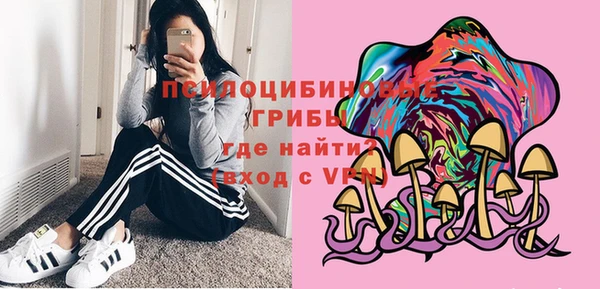 сатива Армянск
