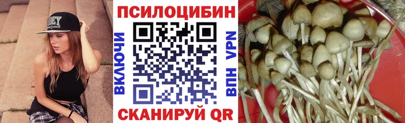 Псилоцибиновые грибы прущие грибы  kraken как войти  Баймак  продажа наркотиков 