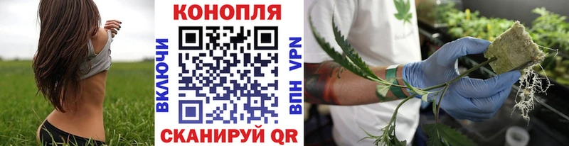 Каннабис White Widow Баймак